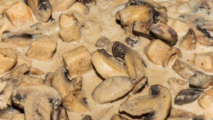 Close-up of homemade cooking chicken with creamy mushrooms