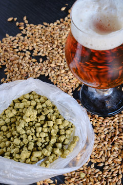 the special bitter beer and its components