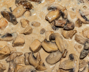 Close-up of homemade cooking chicken with creamy mushrooms