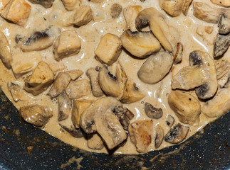 Close-up of homemade cooking chicken with creamy mushrooms
