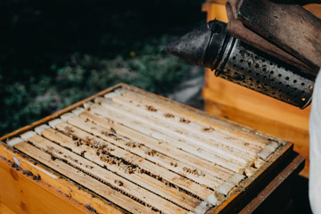 Chimney for flashing bees. Chimney stands near beehives.The beekeeper's tool. Bee smoker smoking.