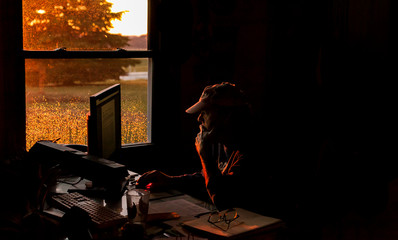 Man in farmer cap looking at computer screen in sunset light with raindrops on the window.