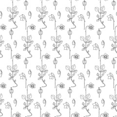 
Chickweed-wintergreen, arctic starflower, seamless, endless, monochrome, pattern, art, design element, ink, hand drawn, stock, vector, illustration, for web, for print, for fabric print, thin line, p