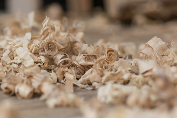 Poplar wood shaving laying on the workshop floor design studio. Blurry background. Vintage woodworking, handwork, handmade. Beautiful carving material