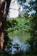Lago