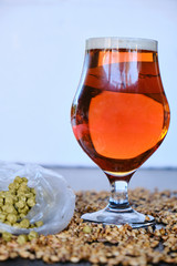 the special bitter beer and its components