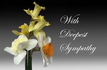 Yellow and White Daffodils With Deepest Sympathy text.