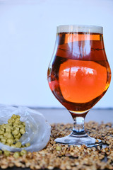 the special bitter beer and its components