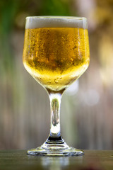 Recife / Pernambuco / Brazil. April, 16, 2020. Glass of beer.