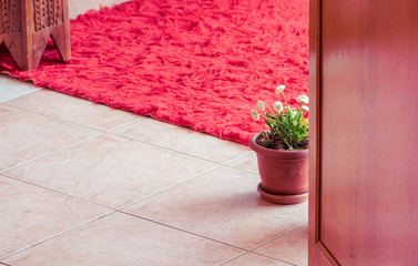 Flower pot on floor. Indoor plant. Copy space for text.