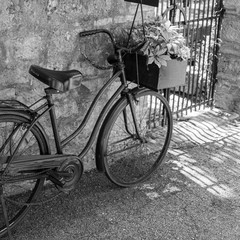 retro bicycle with basket with green plants on the street in village in Tuscany