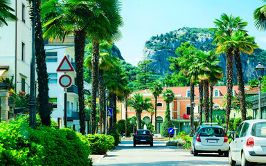 Landscape with cars on road at Arco palm trees reflex - obrazy, fototapety, plakaty