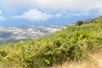 View of the ocean coast and village from the tops of the mountains on the island of Madeira, Portuga