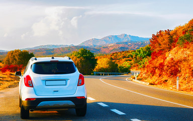 White car on road in Sardinia reflex