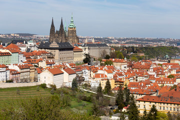 Obraz premium Spring Prague City with gothic Castle and the green Nature and flowering Trees from the Hill Petrin, Czech Republic