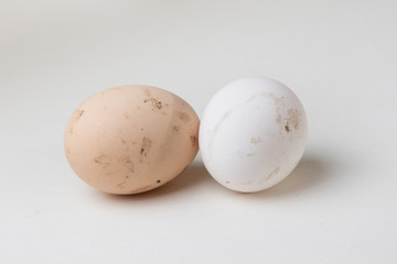 dirty eggs on a white background subject 2 eggs