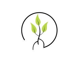 Leaf logo , logo abstract leaf , logo circle leaf 