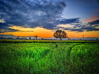 Dera Ghazi Khan, Punjab, Pakistan