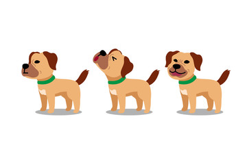 Set of vector cartoon character dog poses for design.