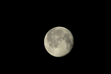 Fototapeta premium The moon in the dark sky close plan