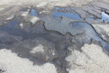 dead fish in the snow