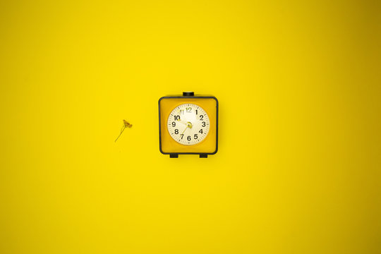 Yellow Watch. Alarm Clock And Wild Flower