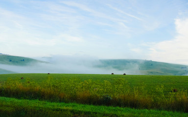 Mist over green field Fog at road highway reflex