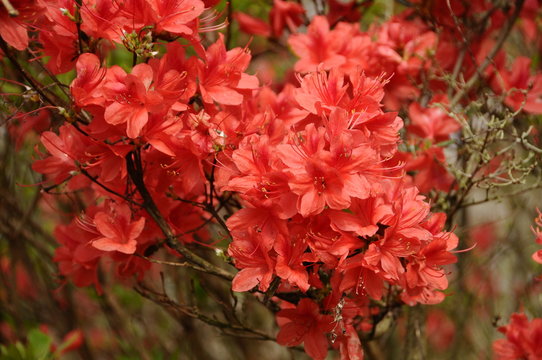 「泉質」の画像 827 件の Stock 写真、ベクターおよびビデオ Adobe Stock