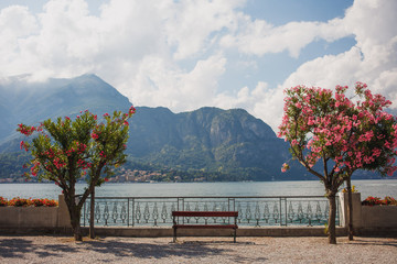 A bench between blooming oleander trees with pink flowers in the mountain and lake background.