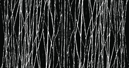 Slim lines texture. Parallel and intersecting lines abstract pattern. Abstract textured effect. Black isolated on white background.Vector illustration. EPS10.