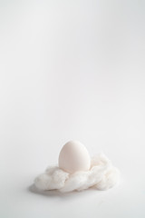 white egg with feather minimalism