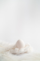 Fototapeta na wymiar white egg with feather minimalism