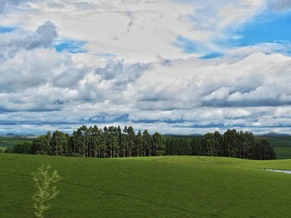Landscape with clouds.