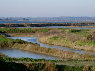 marais salants au Croisic