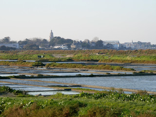 les marais salants du Croisic