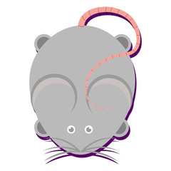 Isolated grey mouse cartoon