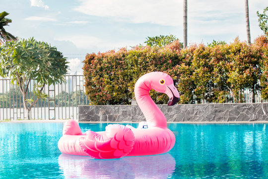 Pink Inflatable Flamingo Floating On The Pool