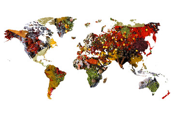 World map of different aromatic spices on white background. Creative collection