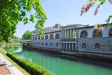 Naklejka premium River Ljubljanica and one of its bridges in the centre of Ljubljana, Slovenia on a sunny day of spring