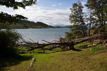 Fototapeta na wymiar Tierra del Fuego National Park