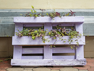 Flowers on a painted wooden bottom violet