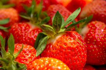 Organic strawberries
