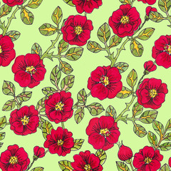 Seamless pattern of red colors burgundy rosehip flowers with leaves on a light green background.