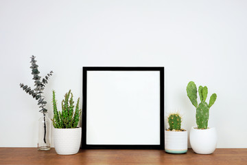 Mock up black square frame with potted plants and branch decor. Wooden shelf against a white wall. Copy space.