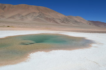 Sea eyes in Tolar Grande, Salta