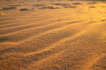 Sunlight on Ripples on Sand on the Beach at Corolla, North Carolina