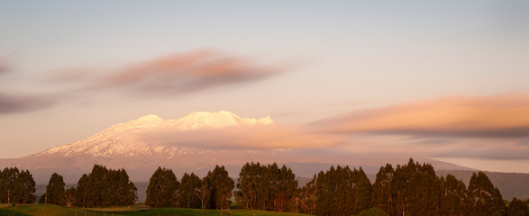 Snow caped Mt Ruapehu glowing at sunset