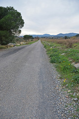 Fototapeta na wymiar Chemin rural à La Palme, Aude, Occitanie.