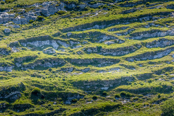 Pasture on steep hills