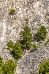 Rocks in an old quarry